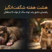 رشد توله سگ