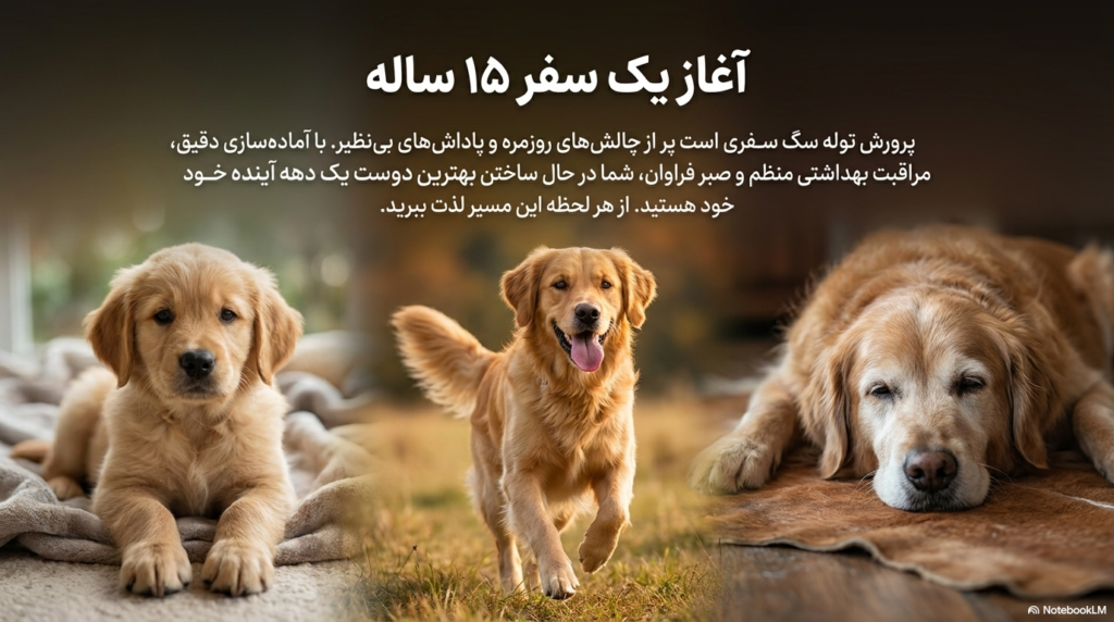 مراقبتهای ضروری توله سگ 6 مراقبتهای ضروری توله