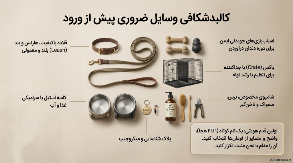 مراقبتهای ضروری توله سگ 3 مراقبتهای ضروری توله