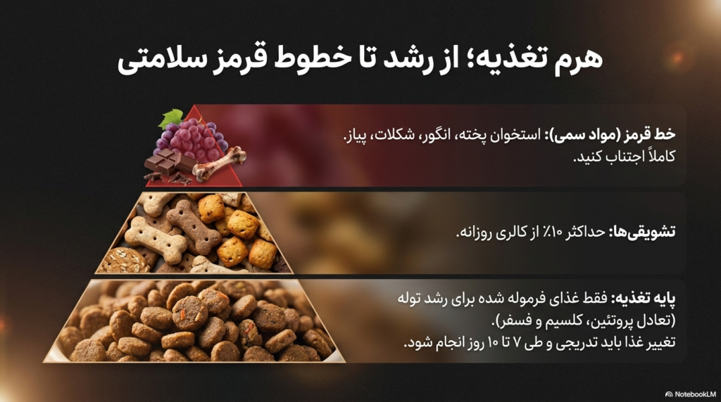 مراقبتهای ضروری توله سگ 4 مراقبتهای ضروری توله
