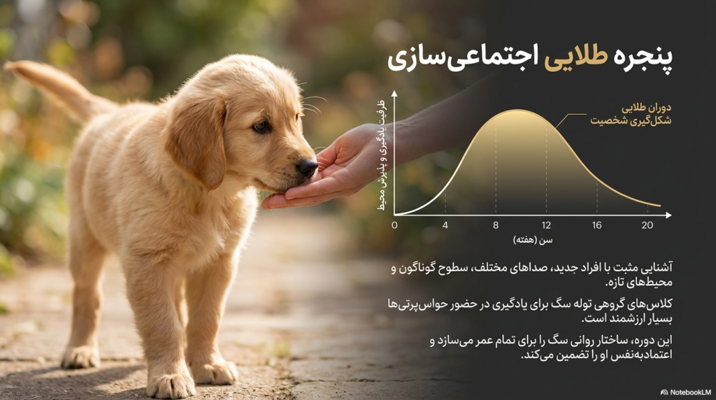 مراقبتهای ضروری توله سگ 5 مراقبتهای ضروری توله