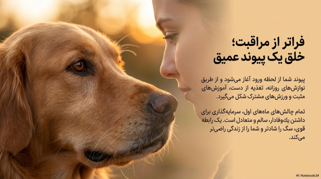 مراقبتهای ضروری توله سگ 1 مراقبتهای ضروری توله