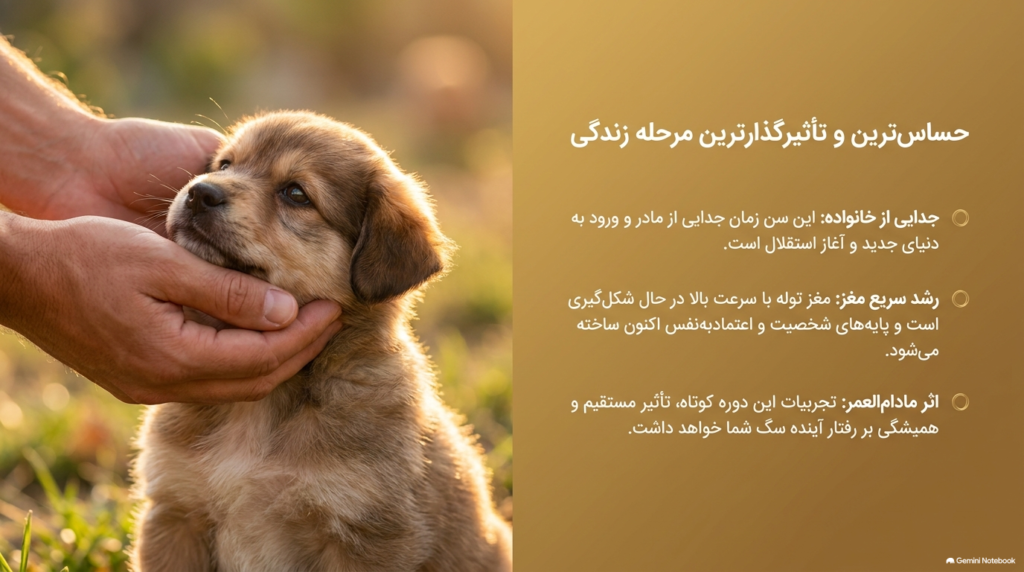 مراقبت از توله سگ ۸ هفتهای 1 مراقبت از توله
