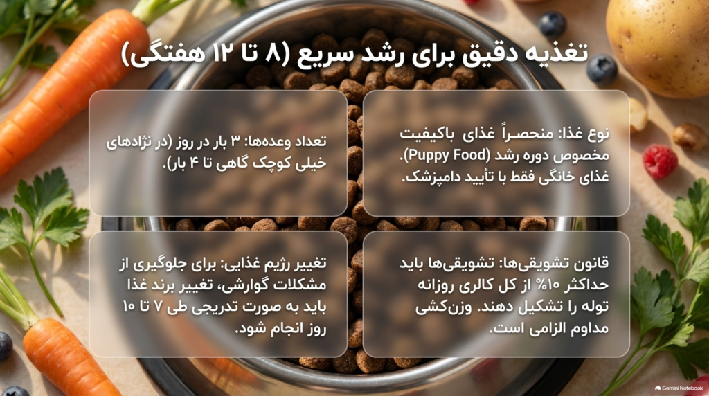 مراقبت از توله سگ ۸ هفتهای 3 مراقبت از توله
