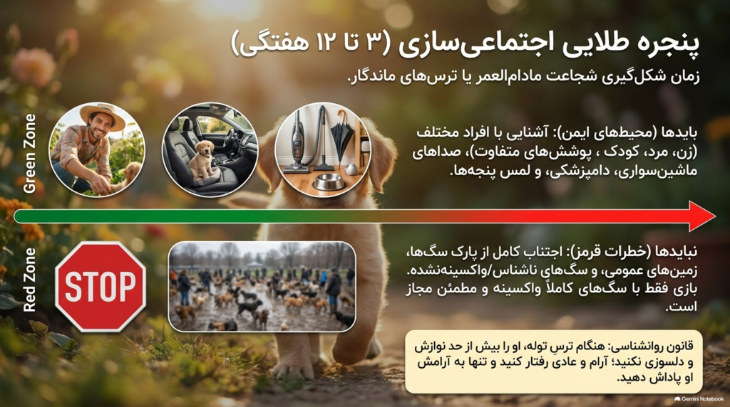 مراقبت از توله سگ ۸ هفتهای 2 مراقبت از توله
