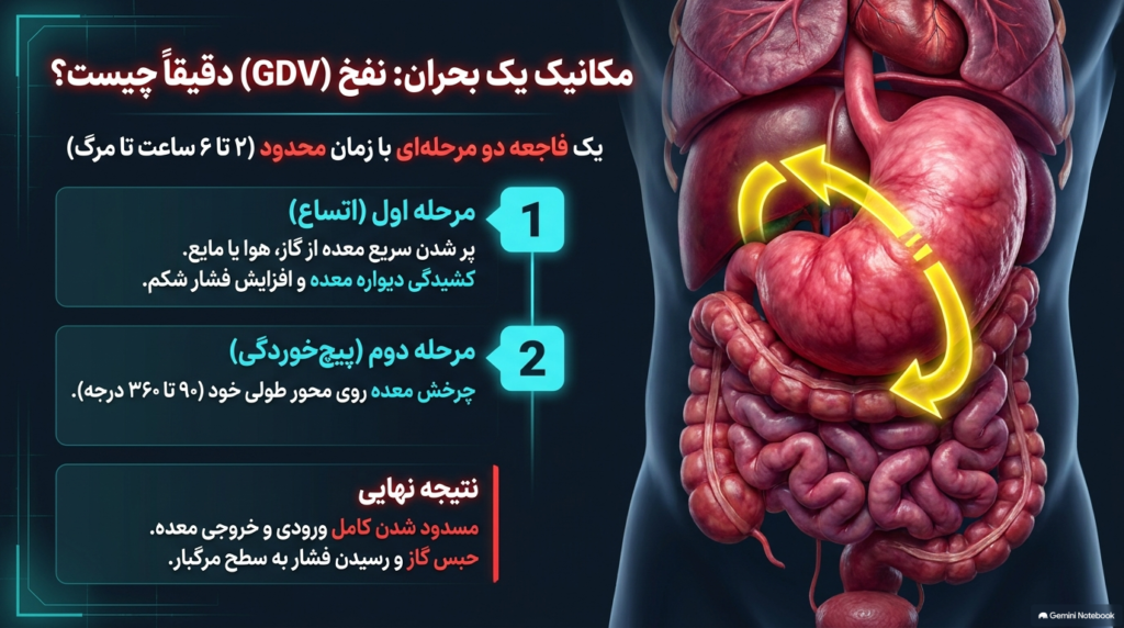 نفخ معده