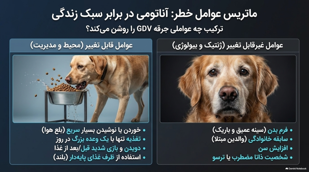 نفخ معده