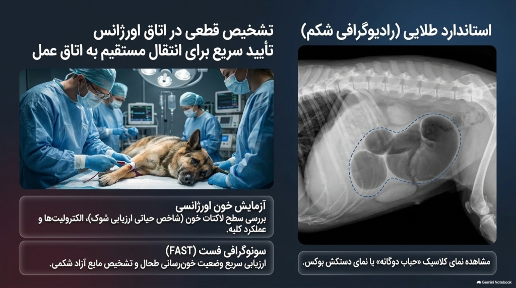 نفخ معده