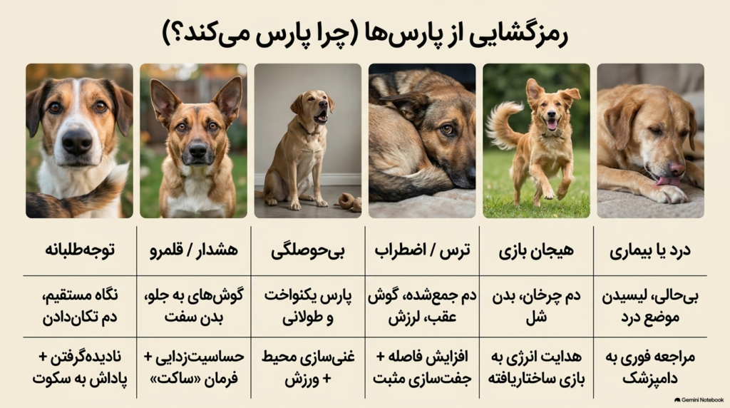 پارس کردن