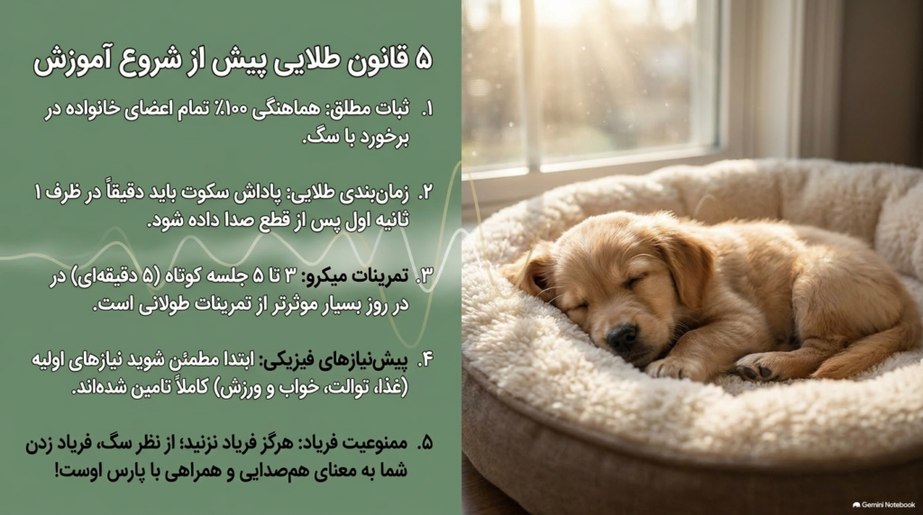 پارس کردن