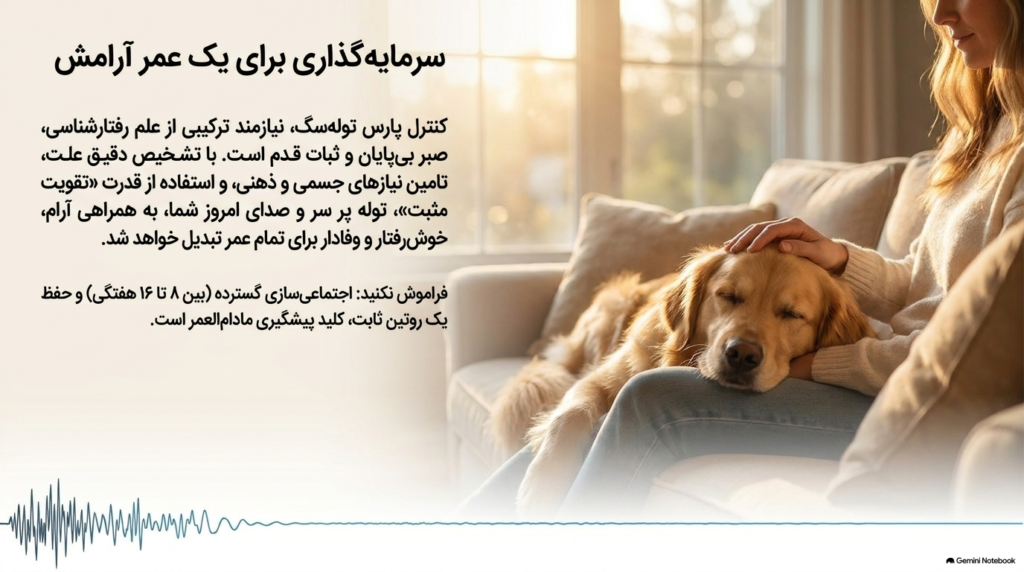 پارس کردن