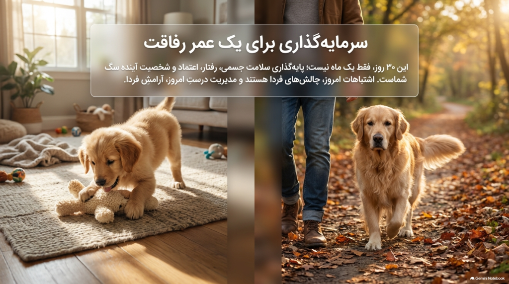 ۳۰ روز اول با توله سگ جدید 5 30روزاول