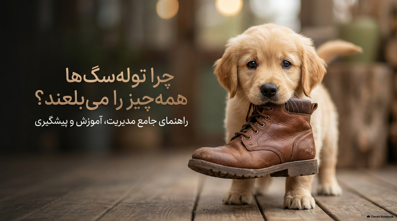 بلعیدن توسط سگ ها