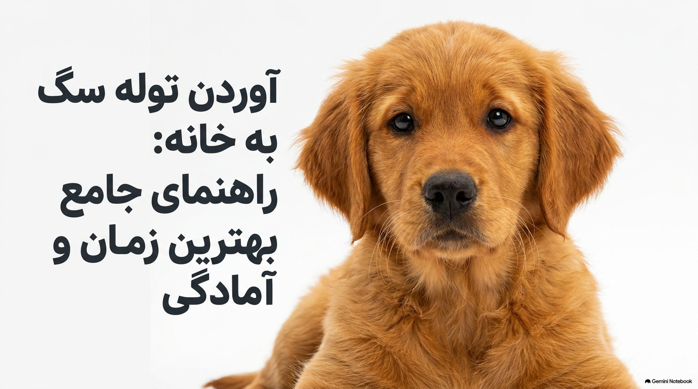 بهترین فصل سال
