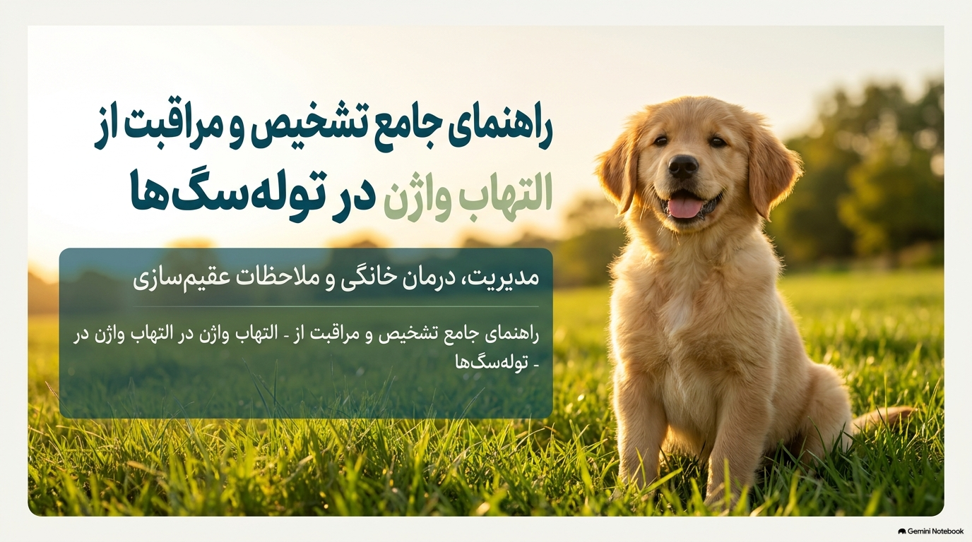 بیماری واژینیت