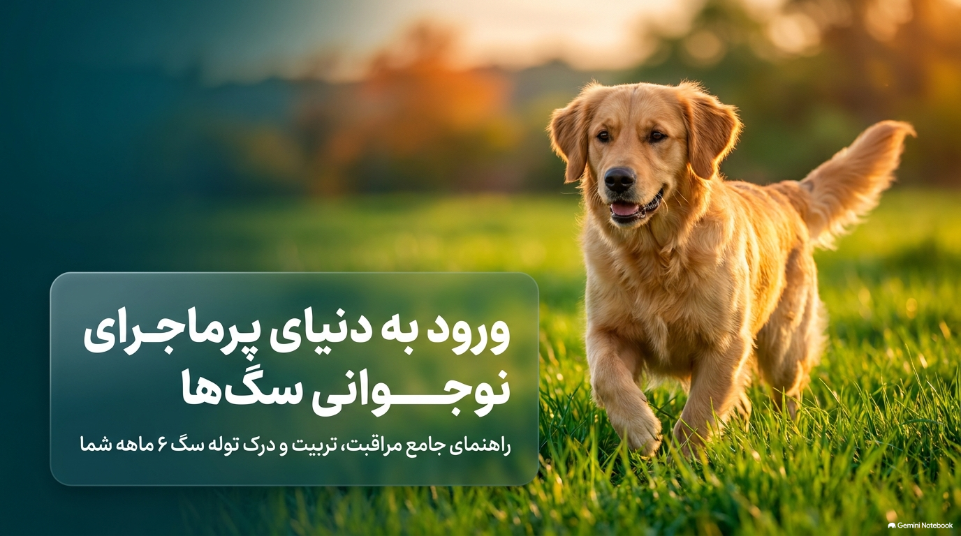درک توله سگ
