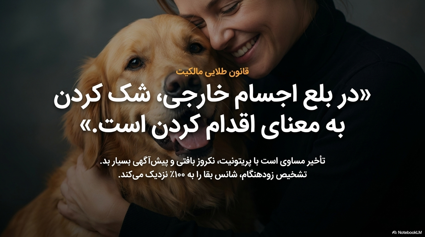 دفع جسم خارجی