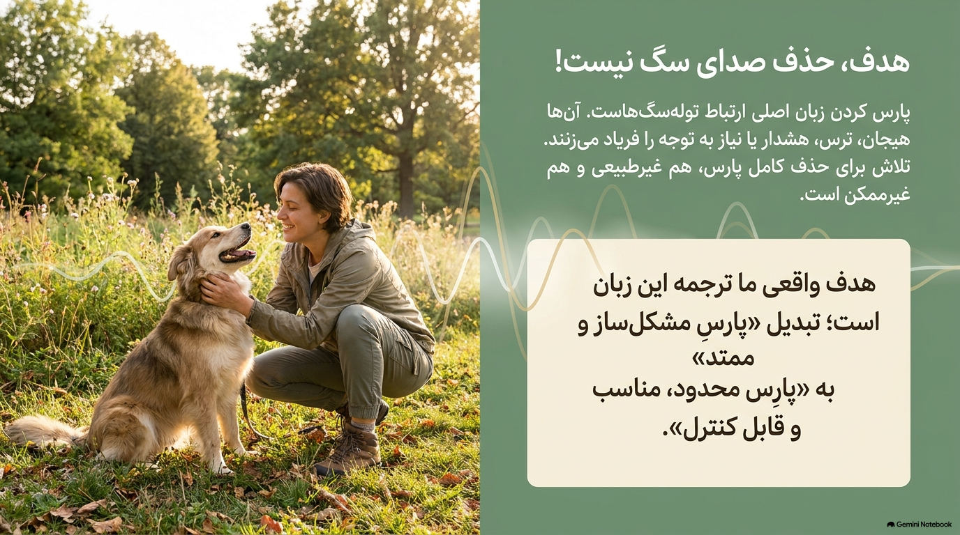 پارس کردن